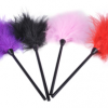 Feather tickler