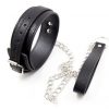 Leather Collar and Leash