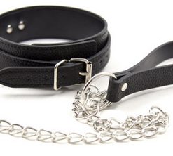 Leather Collar and Leash