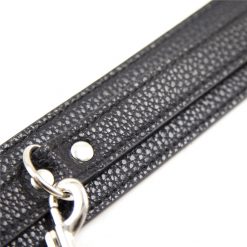 Leather Collar and Leash