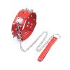 Spiked Leather Collar and Leash Red