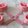 Pink leather restraint kit