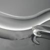 Glass Dildo