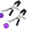 Pretty Metal Nipple Clamps