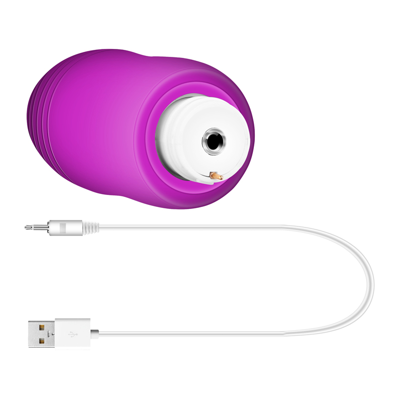 Wireless and rechargable egg with Remote