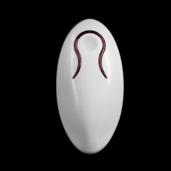 Wireless and rechargable egg with Remote