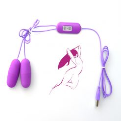 10 speed USB powered dual vibrating eggs