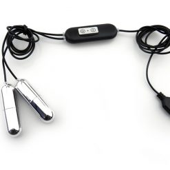 10 speed USB powered dual vibrating bullets