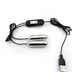 10 speed USB powered dual vibrating bullets
