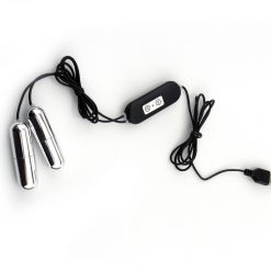 10 speed USB powered dual vibrating bullets