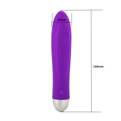 Rechargeable multi speed silicone vibe