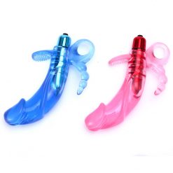 Universal vibrator with anal probe