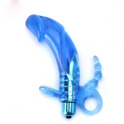 Universal vibrator with anal probe