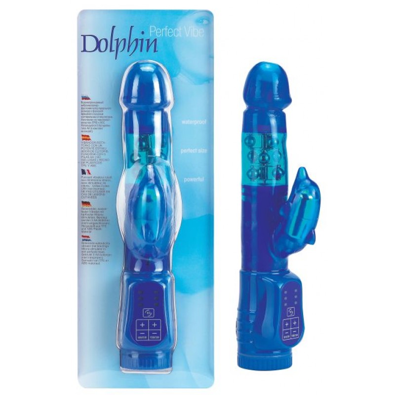 Perfect Vibe Dolphin