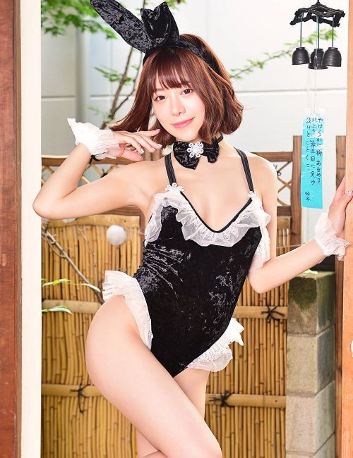 Sexy Black Velvet Bunny Costume