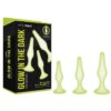 WhipSmart Glow In The Dark 3pc Anal Training Kit