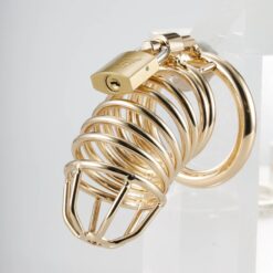 Golden Lock™ Men’s Premium Gold Or Silver Chastity/Cock Cage Version 2 - Image 2