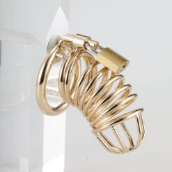 Golden Lock™ Men’s Premium Gold Or Silver Chastity/Cock Cage Version 2 - Image 3