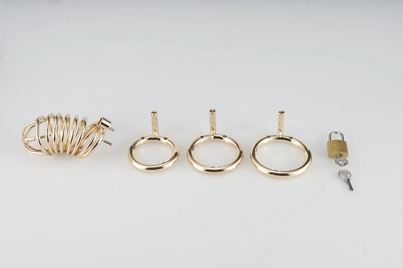 Golden Lock™ Men’s Premium Gold Or Silver Chastity/Cock Cage Version 2 - Image 6