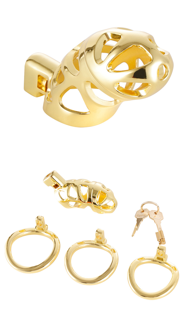 Golden Lock™ Men’s Premium Gold Chastity/Cock Cage - Image 2